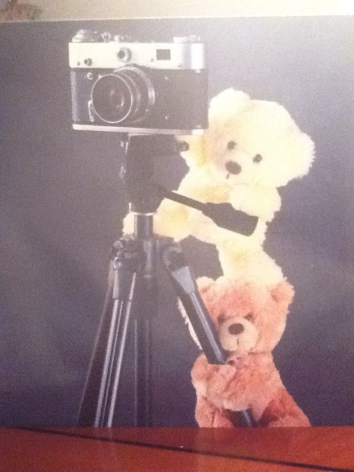 JaneFBP's profile picture. 