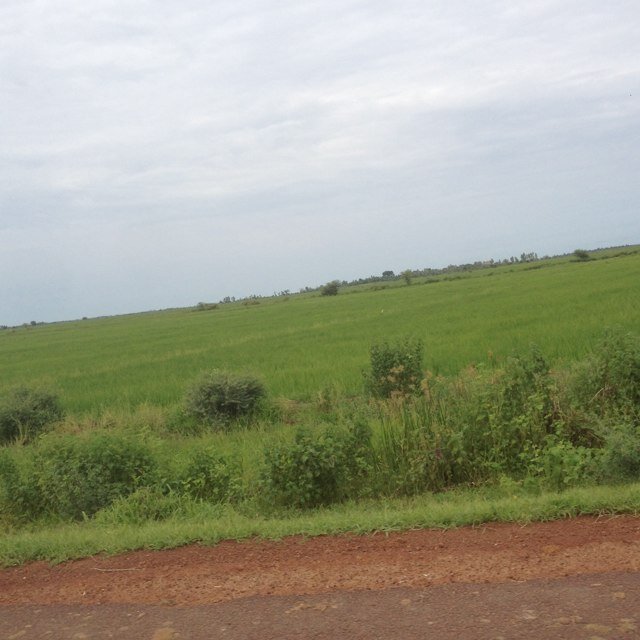 mkonet99's profile picture. 