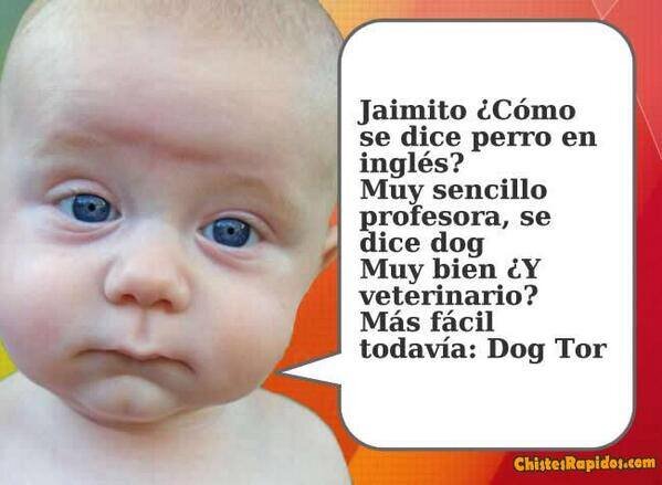 soy sexil vonito y bello o si nena wao