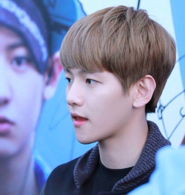 I'm Baekhyun from EXO K : just bot not real