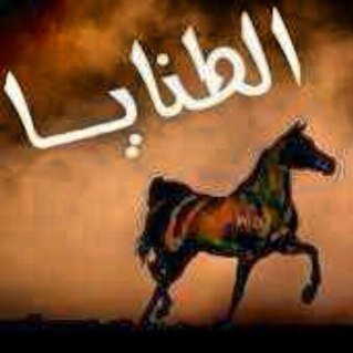 تحملت من جور الليالي بدون قياس