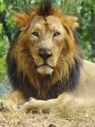 Bristol Zoo Profile