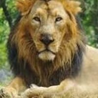 Bristol Zoo (@bristolzoo) 's Twitter Profile