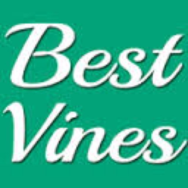 The funniest the best the wins and fails vines!