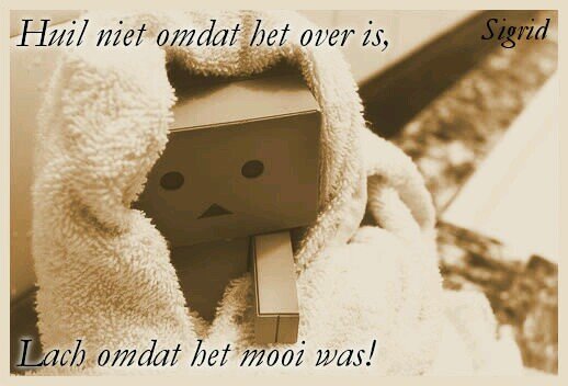 loveee forr Reinn Daan Nils Owen♥♡