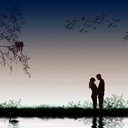 love