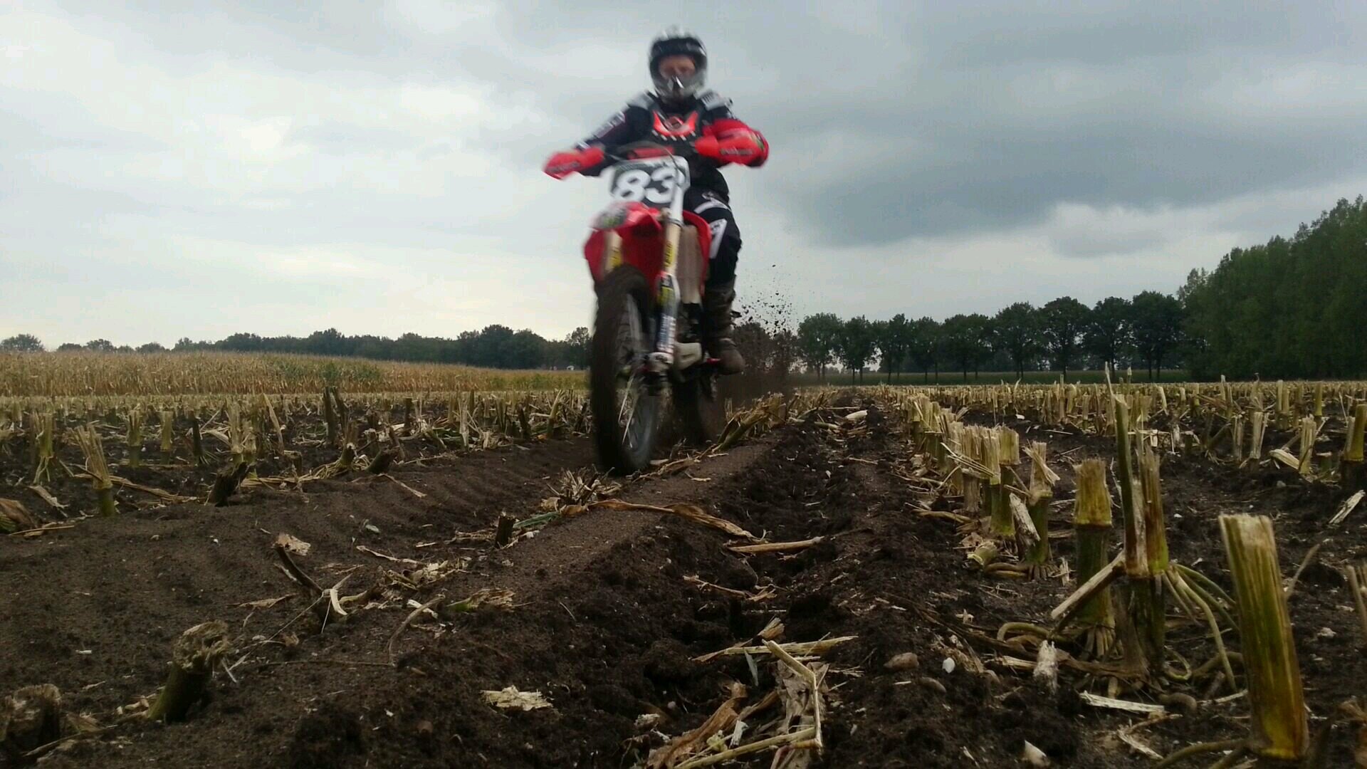 honda crf 250 2005