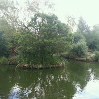 Areej Bahammam (@asbahammam) 's Twitter Profile Photo Areej Bahammam (@asbahammam) 's Twitter Profile Photo