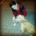 Cenqiz Han (@001Qcengo) Twitter