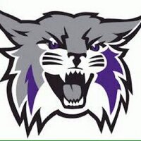 Dennis Harding (@wildcatbacker) 's Twitter Profile