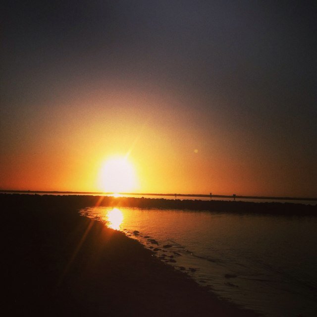 Joey_Sample1's profile picture. 