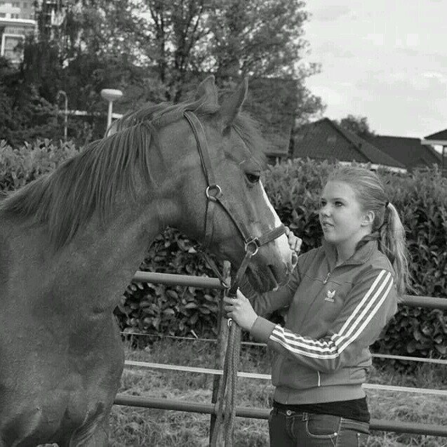 het enige wat ik wil dat ben jij♡