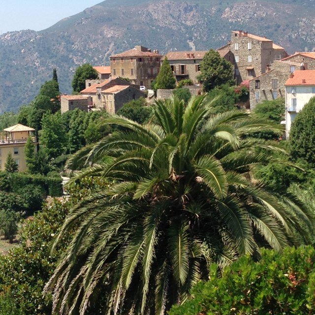 rundy33's profile picture. 