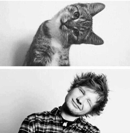 free follow from @itsgottabe5SOS follow her