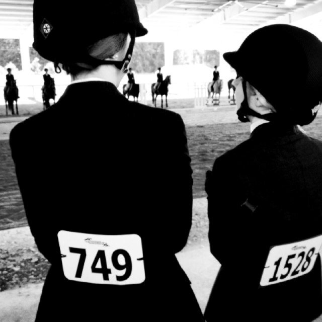 Best friend: @the_eq_queen follow her! IEA showing  horse photography ♡