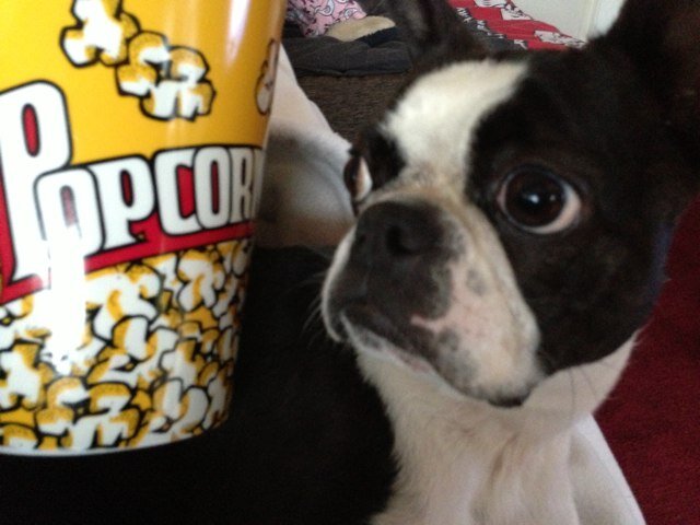 nickshaw_zn's profile picture. 