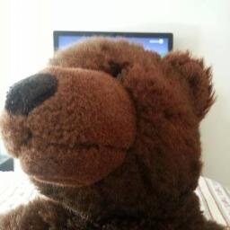 SelfieBear's profile picture. 13.5 of pure cuddles, lover of girl's teddies, enjoys taking selfies