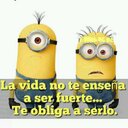 Fernando (@1965Diablorojo) Twitter