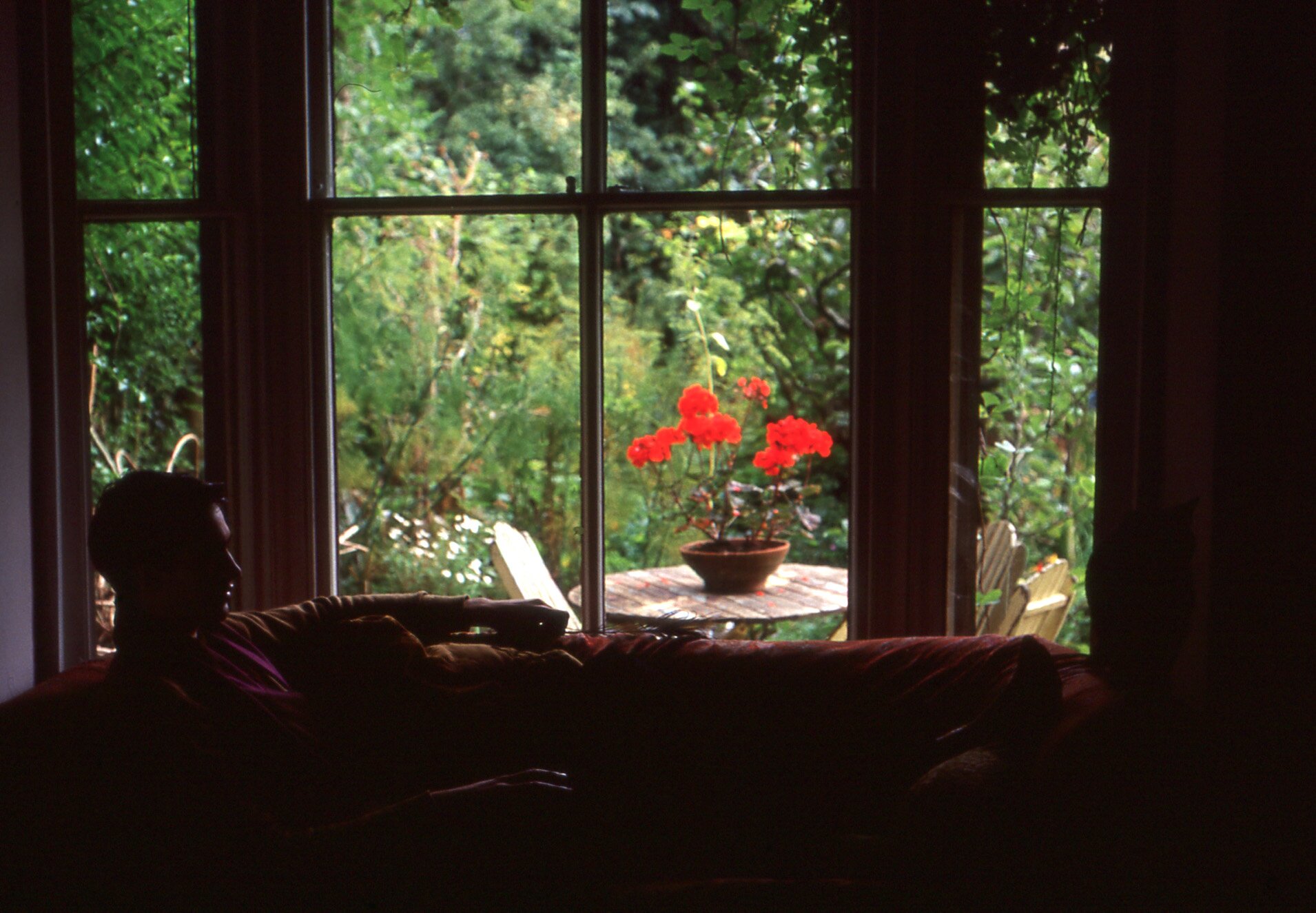 xmillman1's profile picture. Publisher Templar Poetry & Iota