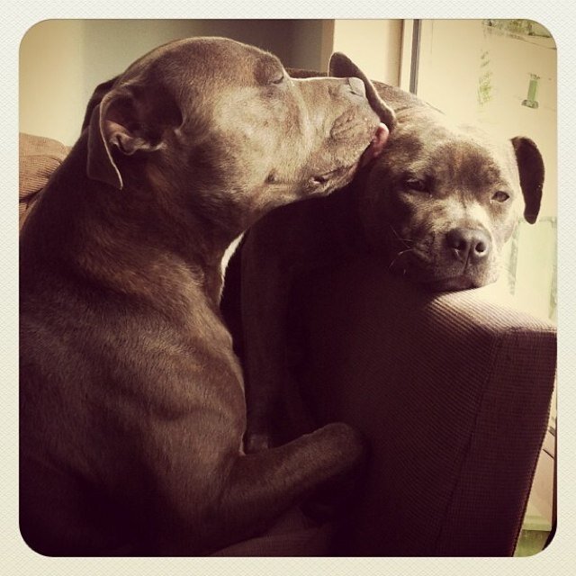 AmandaGorvin's profile picture. 