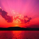 joana olivia albert - @albert_joana - Twitter