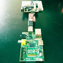 niltoid's profile picture. 