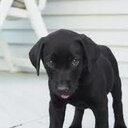 jody walker - @jodywalker89 - Twitter