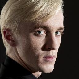 Antiguo estudiante del Colegio de Magia y Hechicería de Hogwarts, orgulloso miembro de Slytherin,actualmente Sanador en el Hospital de San Mungo