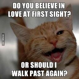 ryanMEryanU's profile picture. i like reading MENU, 'coz it has ME-N-U.
#FOREX #Trader 
I am not an Architect but I can help build your future.