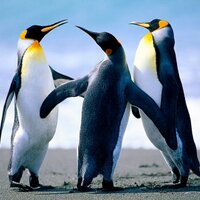 greg81742 (@greg81742) 's Twitter Profile