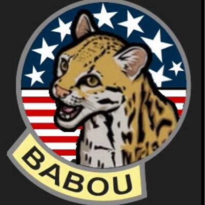 babou the ocelot ocelotbabou twitter
