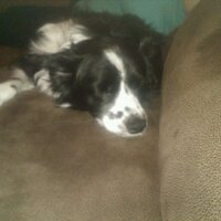 Joe Petsko (@jpetsko86) 's Twitter Profile