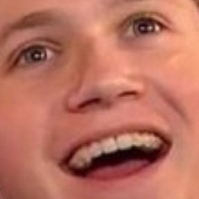 Just a crazy mofo who loves that special snowflake in One Direction #AndThenTheresNiall #ThenTheresNiall