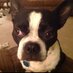 Susan Marsh (@mspastorwife) Twitter profile photo Susan Marsh (@mspastorwife) Twitter profile photo
