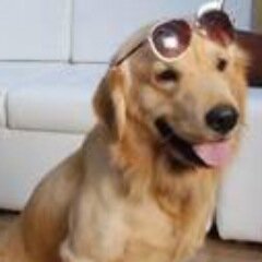 BB7HEAVEN's profile picture. BiGG BOSS 7- DAILY KA BOW WOW AAPKE SAATH