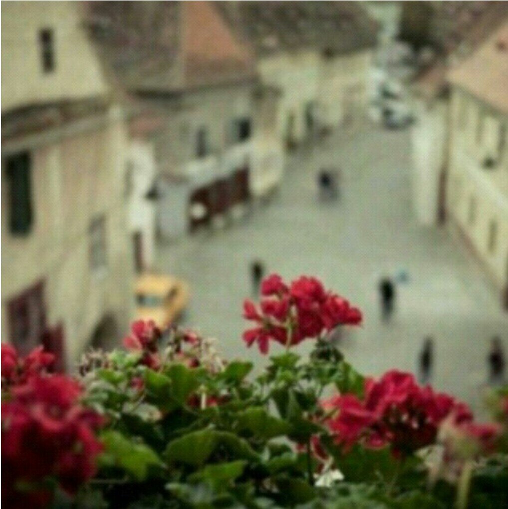 1soma17's profile picture. اللهم اغفر لي ولوالدي والمؤمنين والمؤمنات اﻻحياء منهم واﻻموات