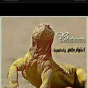 melfi s al mutairi (@19571s) Twitter