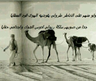 HessaAlMansori's profile picture. Computer Engineer-Specialized in Security & Service Delivery