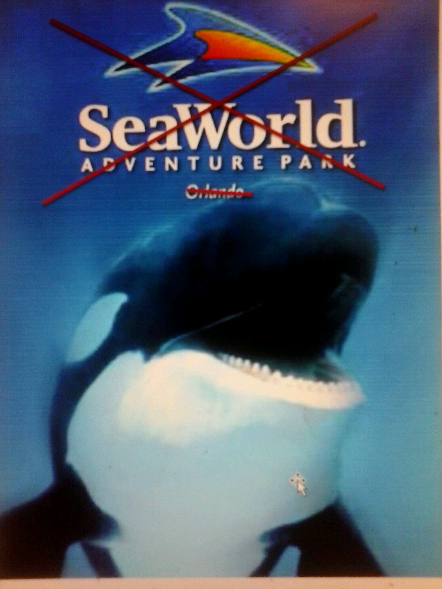 Tilikum Kills Dawn Autopsy Photos - xmdf6pz