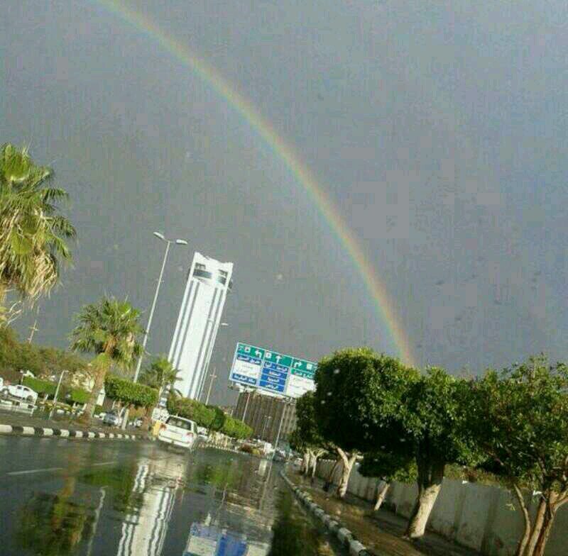 محب للتعارف وتباديل الافكار