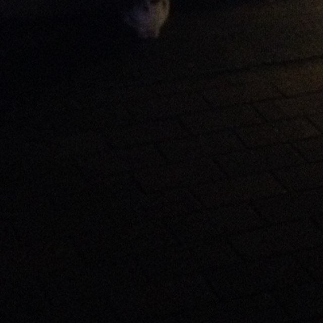 ciws8's profile picture. 