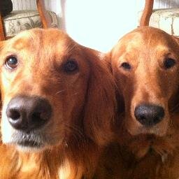 SandyraN4's profile picture. 