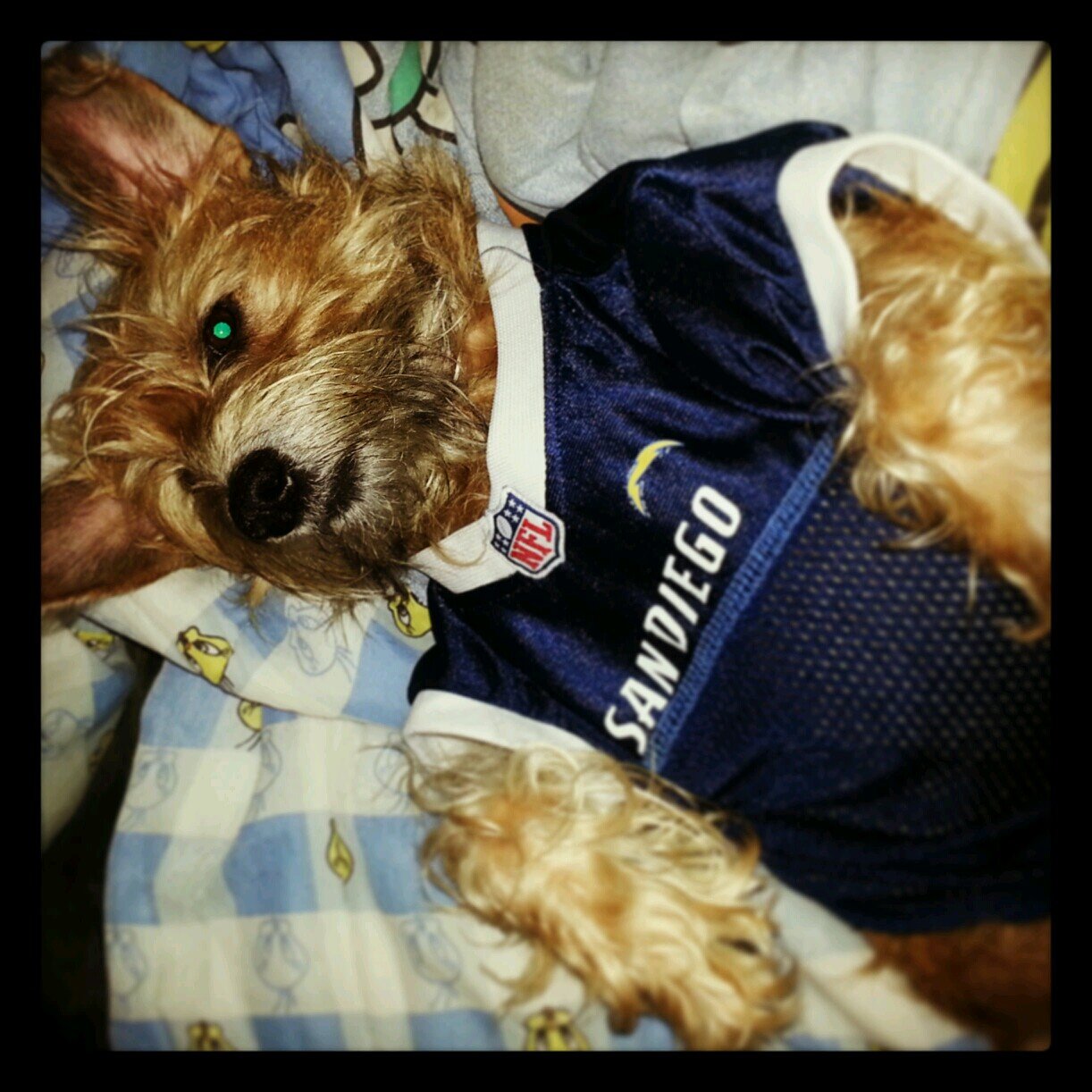 christielynne20's profile picture. 