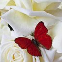أم توووووته (@139637o) Twitter