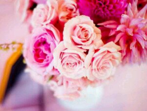 Fesapops's profile picture. 