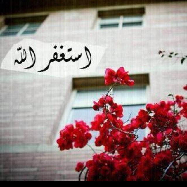 في عٱلم ٳلِـ تويتر أعيش بـ ٳسم مسٺعٱر ۈ مشٱعر حقيقہ في عٱلمنٱ ٳلحقيقي