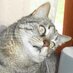Maria Dolores (@dolorestcm) Twitter profile photo