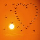فوفو (@0554889468) Twitter