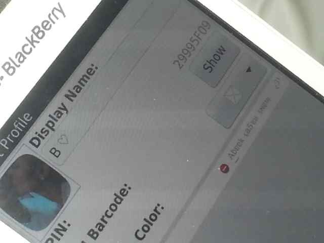 PIN:29995F09