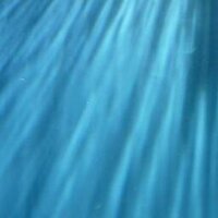 宮原ひろ子 (@hirokomiyahara) 's Twitter Profile Photo 宮原ひろ子 (@hirokomiyahara) 's Twitter Profile Photo